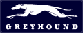 Greyhound