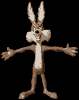 WILE E COYOTE ���C���[�R���[�e �x���_�u���l�`